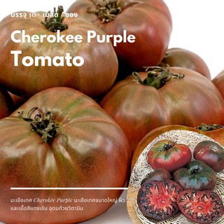 เมล็ด Cherokee Purple Tomato