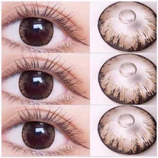 Shimmer Brown (Lovely lens) ขนาดBig (บิ๊กอาย คอนแทคเลนส์ ) (bigeyes)