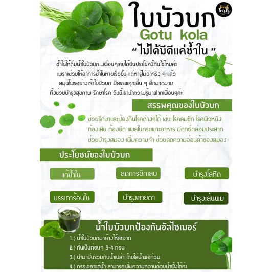 ผงใบบัวบก-organic-บดจากใบแท้-100-บรรจุขวด-ขนาด-50-กรัม-ลดอักเสบ-ช้ำใน-บำรุงสายตา