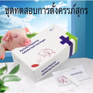 ชุดตรวจการตั้งท้องของสุกร ชุดตรวจการตั้งครรภ์สุกร หมูท้อง