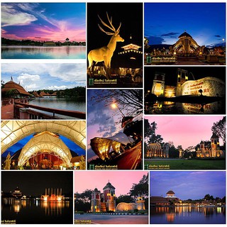 ภาพขนาดย่อของสินค้าเชียงใหม่ไนท์ซาฟารี Chiang Mai Night Safari