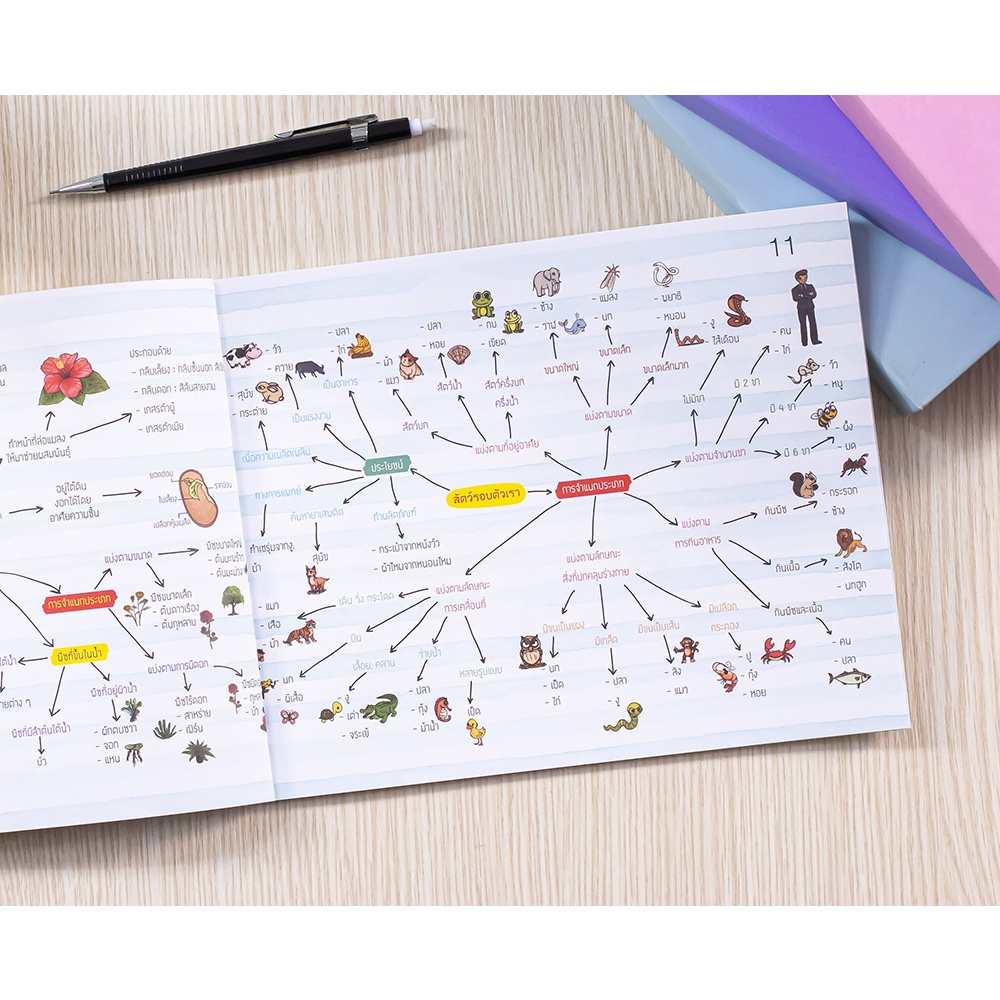 หนังสือ-key-map-วิทยาศาสตร์-ป-1-ป-6-แผนที่ความคิด-พิชิตข้อสอบมั่นใจ-100-8859099306966