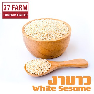 งาขาว 500 กรัม - 1 กิโล(1000 กรัม) #งา White Sesame ธัญพืช อาหารสุขภาพ