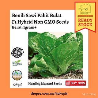 Buy Any 11 In RM9.88TOP SALESBenih Sawi Pahit | Heading Mustard Seeds 1g种子/花园/seeds/内裤/男装/手链/裙子/头饰/帽子/文胸/ TM5L