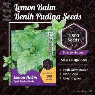 Benih Pudina K14 Lemon Balm Seeds Soon Huat Seeds鲜花/玫瑰/帽子/香菜/苹果/seeds/头饰/花园/手链/上衣/ C4EG