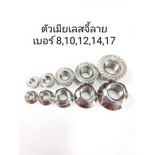 ภาพหน้าปกสินค้าน๊อตตัวเมียเลส เบอร์ 8,10,12,14,17 ที่เกี่ยวข้อง