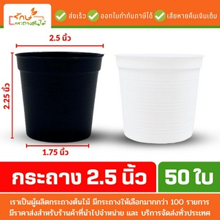 สินค้า กระถางต้นไม้พลาสติก กระถางต้นไม้ กระถาง 2.5 นิ้ว สีดำ สีขาว 50 ใบ