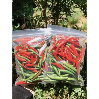 พริกขี้หนูสวน🌶🌶ผักสด ปลอดสาร🔥5แถม1🔥🚛ขนส่งแช่เย็น🚛