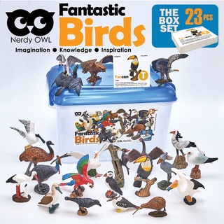 ของเล่นนก 23 ตัว พร้อมแฟลชการ์ดคู่กัน พร้อมกล่องหูหิ้ว ของเล่นเสริมพัฒนาการ Nerdy Owl Fantastic Birds Toy Set