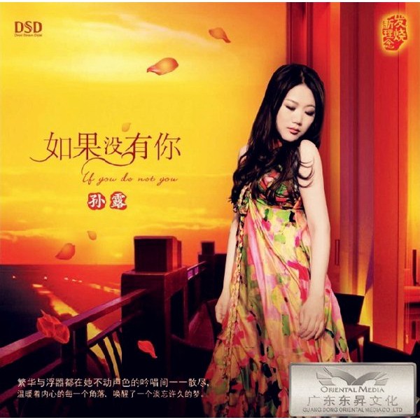 cd-เพลงสากล-เพลงจีน-sun-lu-best-of-sun-lu-mp3-320kbps-เพราะมากๆ