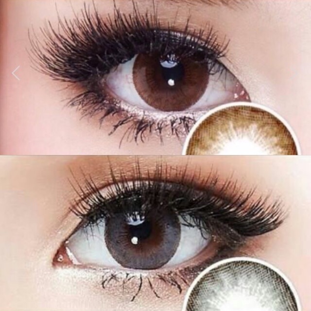 mini-emma-gray-brown-มินิ-สีเทา-สีน้ำตาล-เทา-ตาล-เรียบๆ-dreamcolor1-ค่าอมน้ำ42-contact-lens-คอนแทคเลนส์-ค่าสายตา