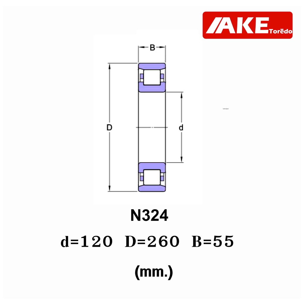 ตลับลูกปืนลูกกลิ้งทรงกระบอก-cylindrical-roller-bearings-ตลับลูกปืนเม็ดทรงกระบอก