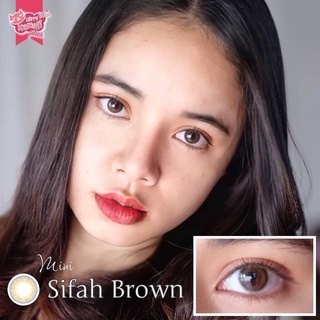 sifah brown/gray - kitty kawaii (0.00 ถึง-5.00)