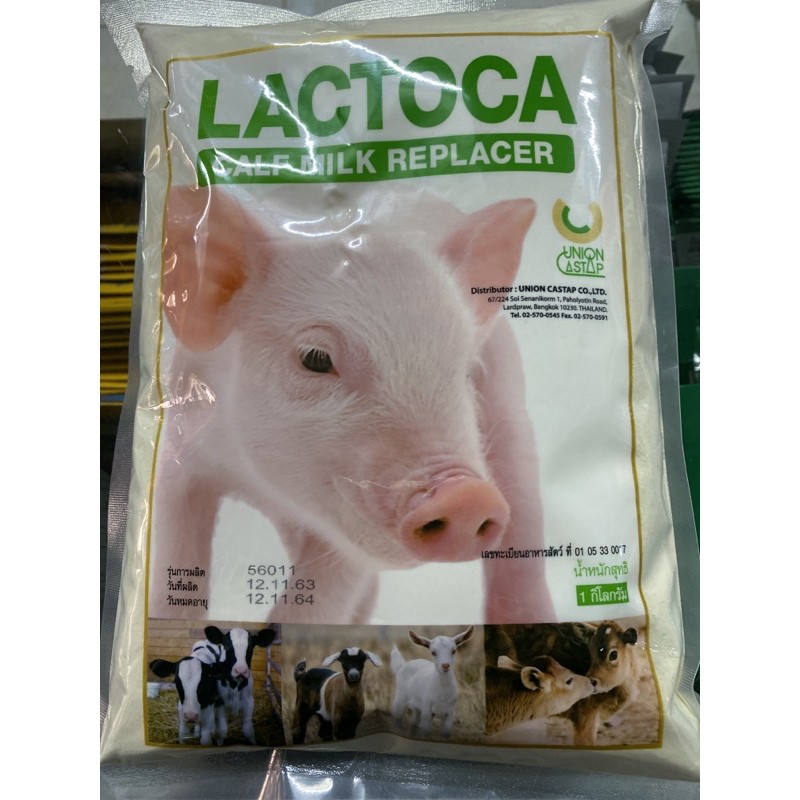 รูปภาพสินค้าแรกของนมผงแลคโตคา(LACTOCA) สำหรับสัตว์ขนาด1kg