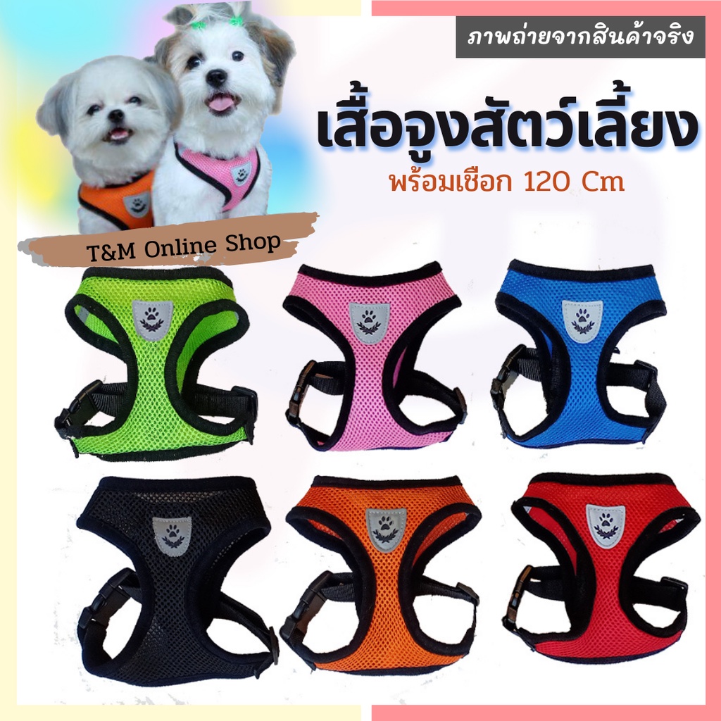 ภาพหน้าปกสินค้าพร้อมส่งในไทย เสื้อจูงสุนัข เสื้อจูงแมว สายจูง สายรัดอก เสื้อจูงสัตว์เลี้ยง