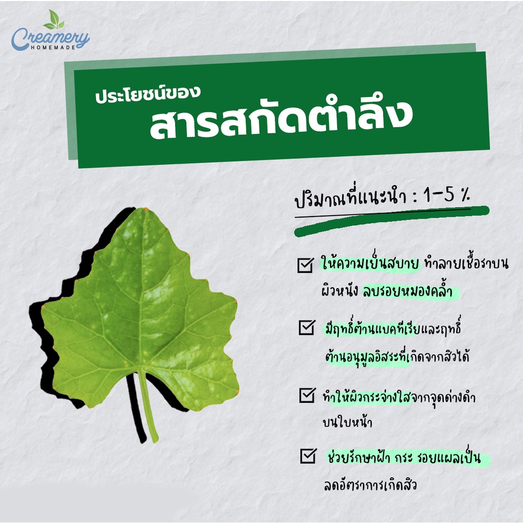 สารสกัดตำลึง-ivy-gourd-extract-สารสกัดสมุนไพร