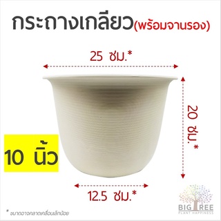 🗑กระถางเกลียว 10 นิ้ว ทรงกลมสวย🗑สีขาว-ครีม เนื้อหนา แข็งแรง ทนทาน ใช้ยาวนาน🌳กระถางพลาสติก กระถางต้นไม้ (พร้อมส่ง)