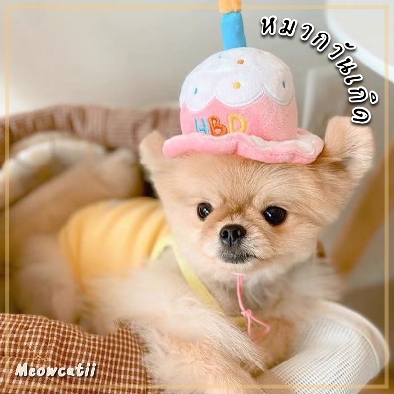 ภาพหน้าปกสินค้าหมวกสัตว์เลี้ยง หมวกวันเกิด HBD