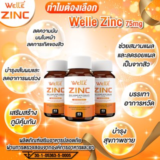 ภาพหน้าปกสินค้าWELLE Zinc ซิงค์ (สุดคุ้ม 45 แคปซูล) เวลล์ ลดสิว ลดผิวมัน ผมร่วง บำรุงผิว บำรุงเล็บ ที่เกี่ยวข้อง