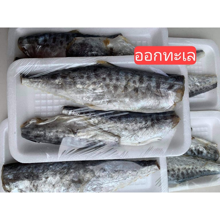ภาพหน้าปกสินค้าปลาอินทรีย์หอมตัวเล็ก แพ็คละ 40 บาท ขนาด ประมาณ150-200 กรัม ทำมาใหม่ ตัวใหญ่ๆๆ ขายไม่แพง ทอดกินอร่อย จากร้าน shopping_dd บน Shopee