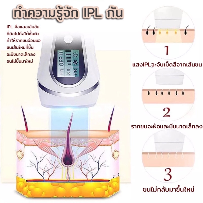 ส่งไว-jin-bison-เครื่อง-ipl-3in1-ประกัน-1-ปี-แบรนด์premium-รีวิวเพียบ