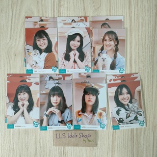 [Comp 3 ใบ] Photoset CGM48 Cat Idol