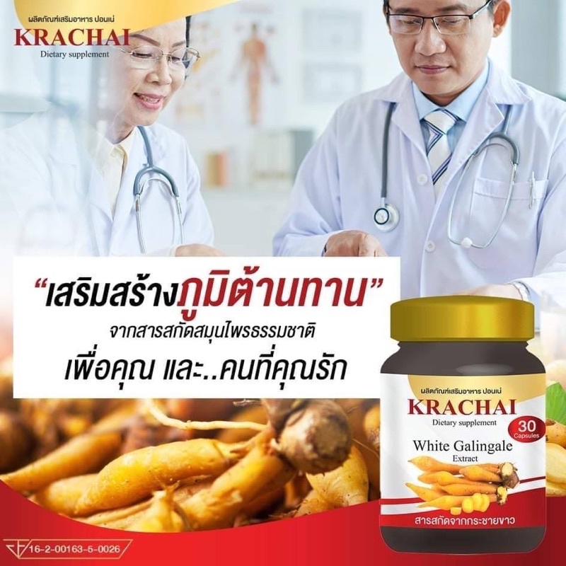 สารสกัดจากกระชายขาว-white-galingale-extract