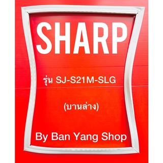 ขอบยางตู้เย็น SHARP รุ่น SJ-S21M-SLG (บานล่าง)