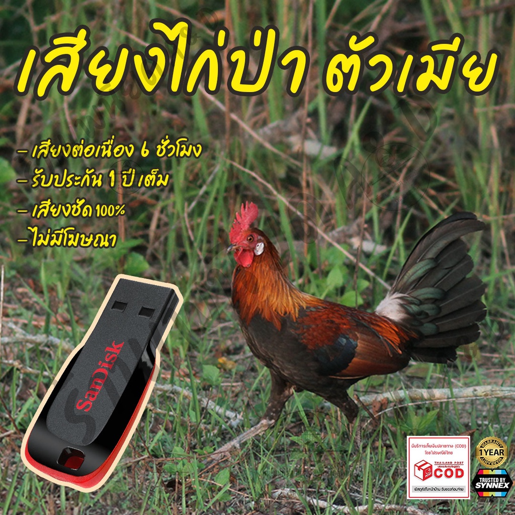 เสียงต่อ-ไก่ป่าตัวเมีย-ยาว6ชั่วโมง-ไม่มีโฆษณา-แฟลชไดร์ฟ-flash-drive-มีเก็บเงินปลายทาง