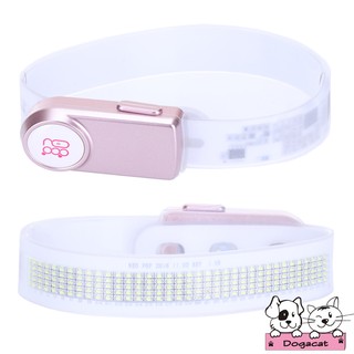 Dogacat ปลอกคอสุนัข ปลอกคอแมว LED เรืองแสง ใส่ข้อความได้ (Rose Gold)