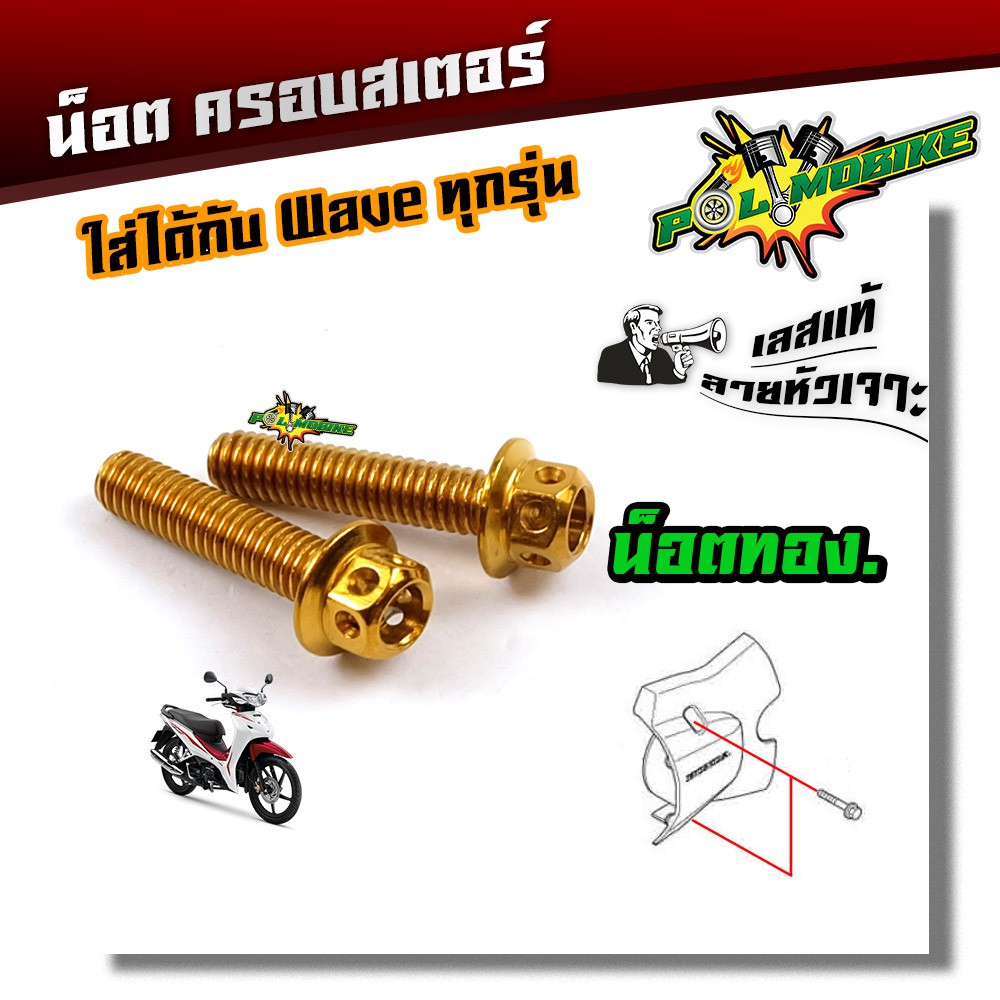 น็อตครอบสเตอร์ เวฟทุกรุ่น-ดรีม น็อตหัวเจาะ(1ชุด2ตัว) น็อตสแตนเลสครอบสเตอร์- น็อตเเต่ง น็อตเลส น็อตทอง น็อตน้ำเงิน อะไห