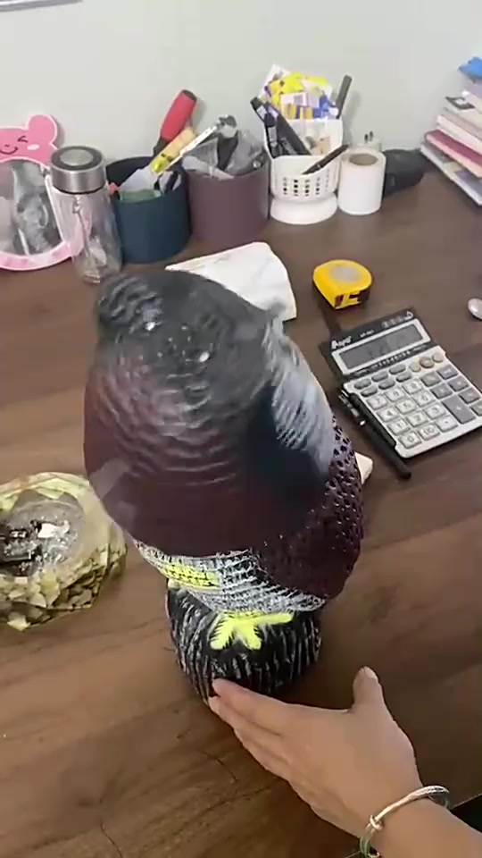 0a77bdc9f90ba0f305e72785c0a56459