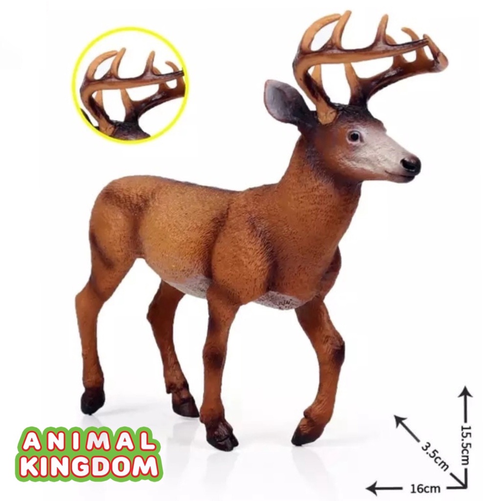 animal-kingdom-โมเดลสัตว์-กวาง-แดง-ขนาด-16-00-cm-จากหาดใหญ่