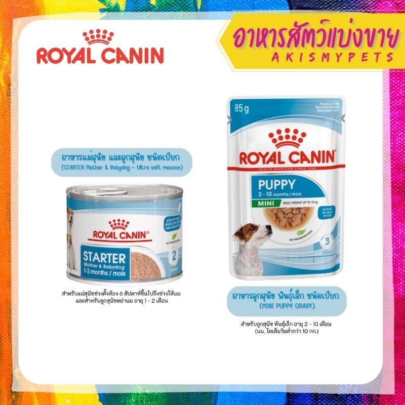 royal-canin-อาหารเปียกสุนัข