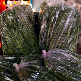 หญ้าขน  ( หญ้าขนสด )