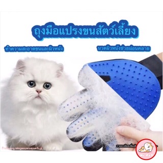 🐾DanDan🐾 ถุงมือหวีขน อุปกรณ์แปรงขนสัตว์เลี้ยง หวีขนหมาและขนแมว กำจัดขนสัตว์เลียง หวีขน ถุงมือแปรงขน ข้างขวาhand gloves