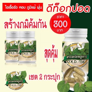 สินค้า O.K.D.-136 สารสกัดพลูคาว เข้มข้น  เซต 2 กระปุก ราคาสุดประหยัด 300 บาท 1แคปซูล 500 มิลลิกรัม เพิ่มภูมิคุ้มกัน