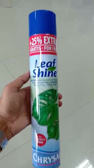 chrysal-leaf-shine-สปรย์ฉีดใบมัน-คริสซอล-เนเธอร์แลนด์-600-ml-และ750-ml