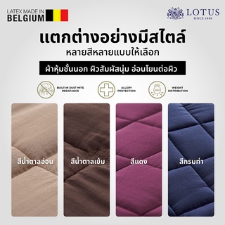 ภาพขนาดย่อของภาพหน้าปกสินค้าLOTUS ที่นอนยางพารา ลดอาการปวดหลัง Latex Made In Belgium สัมผัสนุ่ม แน่น กระจายแรงกดทับ ส่งฟรี จากร้าน lotus_officialshop บน Shopee ภาพที่ 5