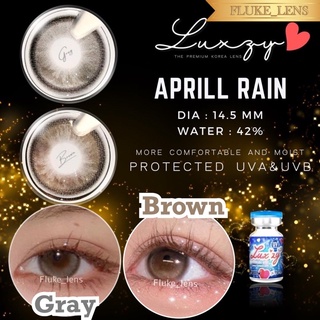 🎉 April Rain brown gray คอนแทคเลนส์ (ขนาดกลาง) Luxzylens เลนส์กรองแสง Dia14.5 ผลิตที่เกาหลี ของแท้จากบริษัทโดยตรง