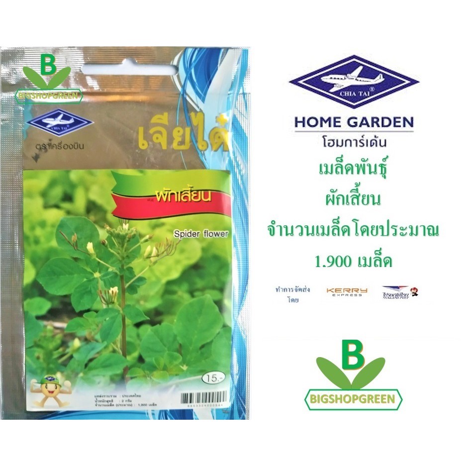 5-ฟรี-1-คละได้-เมล็ดพันธุ์-ผักเสี้ยน-ตรา-เจียไต๋-เมล็ดพันธุ์ผัก-เมล็ดผัก-เมล็ดพันธุ์พืช-เมล็ดพืช-เมล็ดพันธุ์