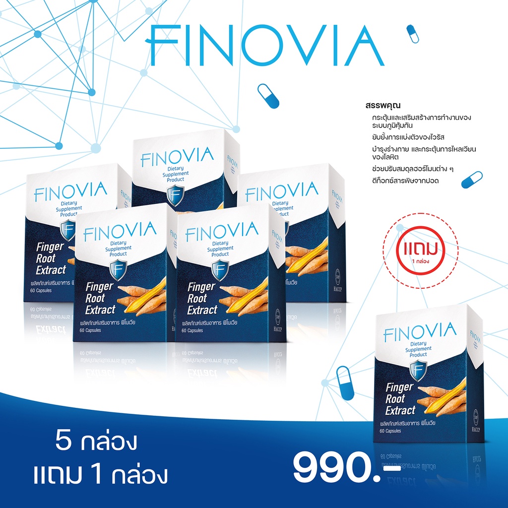 ภาพหน้าปกสินค้าFinovia (ฟิโนเวีย) สารสกัดกระชายขาว บรรจุ 60 แคปซูล จัดส่งฟรี - 5 กล่อง แถม 1 กล่อง จากร้าน soulution_shop บน Shopee