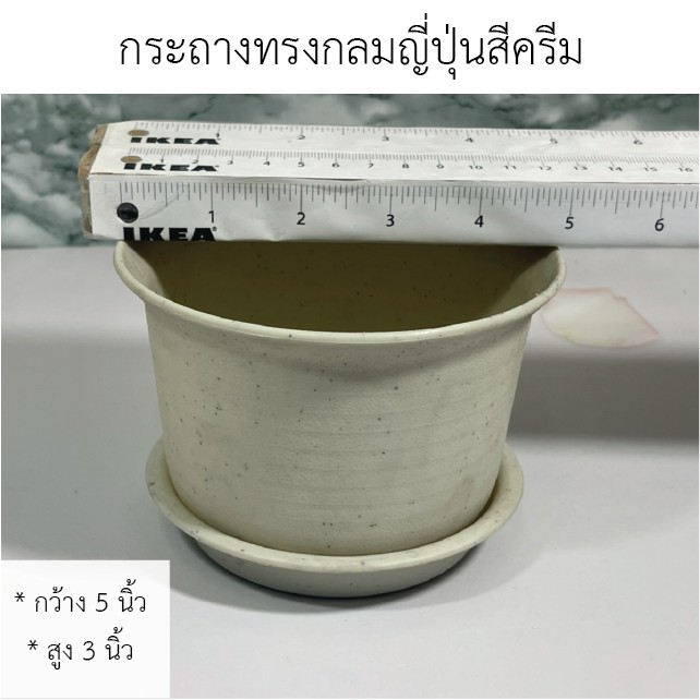 กระถางทรงกลมญี่ปุ่นขนาด-พร้อมจานรอง-พร้อมส่งทุกรูปแบบ-กระถางใส่-cactus