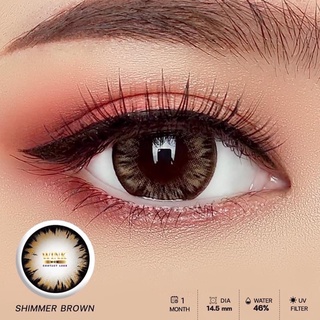 (1) Chimmer / Shimmer / Trap / Icy-X Brown Chestnut บิ๊กอาย สีน้ำตาล สายตาสั้น ค่าสายตา คอนแทคเลนส์ Contact Lens Bigeyes