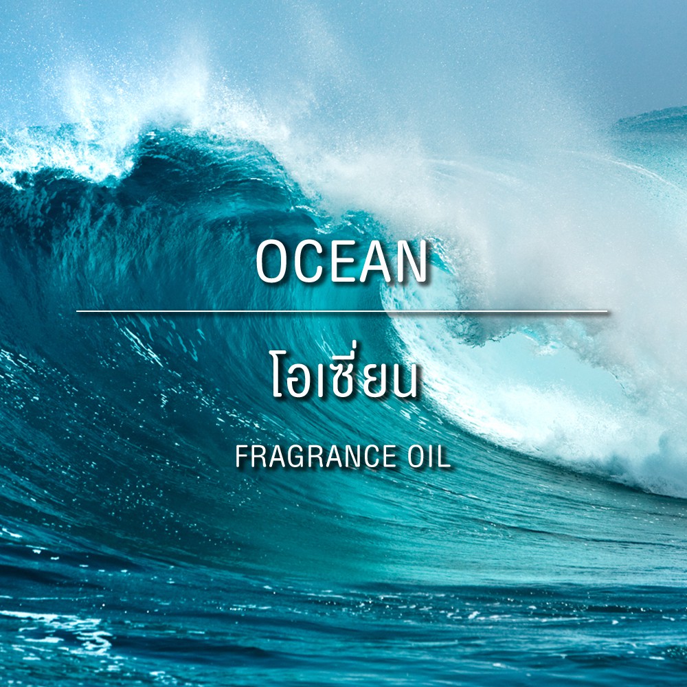 ภาพหน้าปกสินค้าFRAGRANCE OIL OCEAN หัวน้ำหอม กลิ่นโอเซี่ยน 30 ML , 100 ML จากร้าน thailanddiy บน Shopee