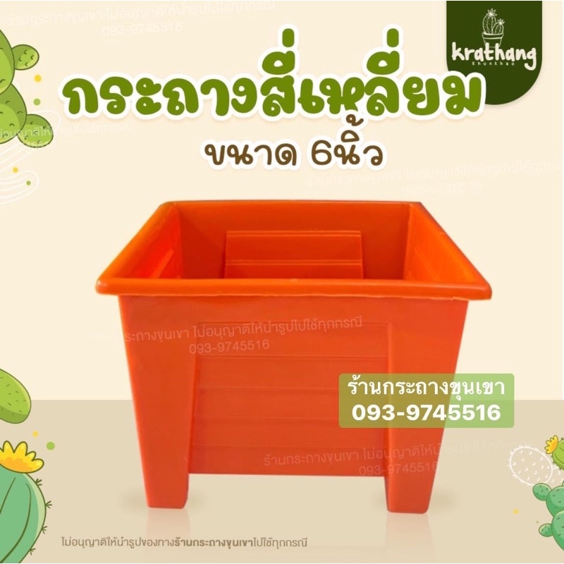 ราครโรงงาน-ถูกที่สุด-กระถางสี่เหลี่ยม-6-ขายกสูง-ไม่มีจานรอง-ถูกที่สุด