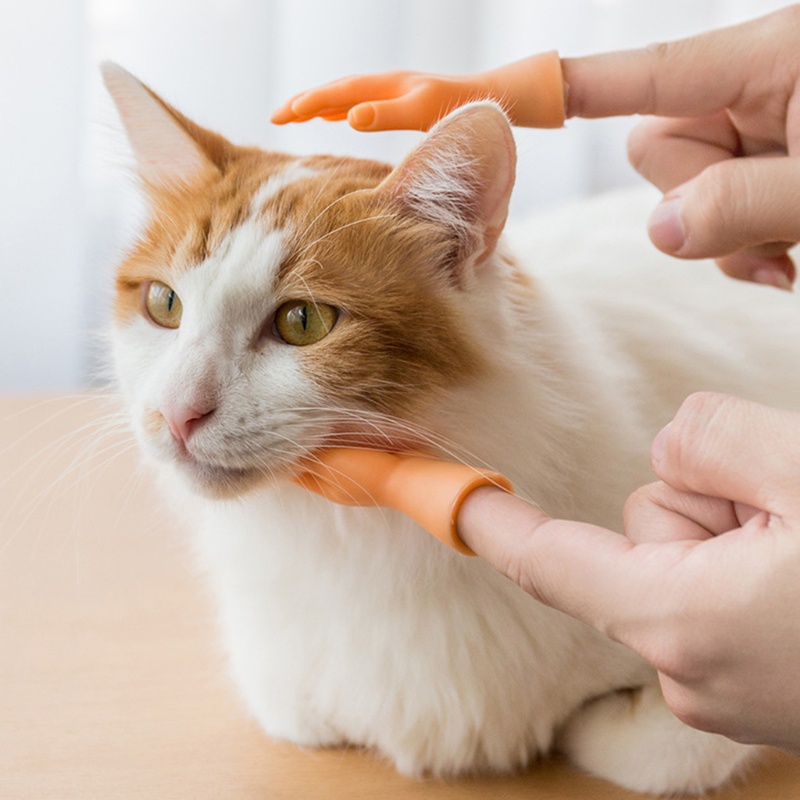 flat-hand-style-funny-mini-hand-miniature-finger-puppet-left-right-hand-tease-kitten-cats-hand-model-pet-interactive-toy