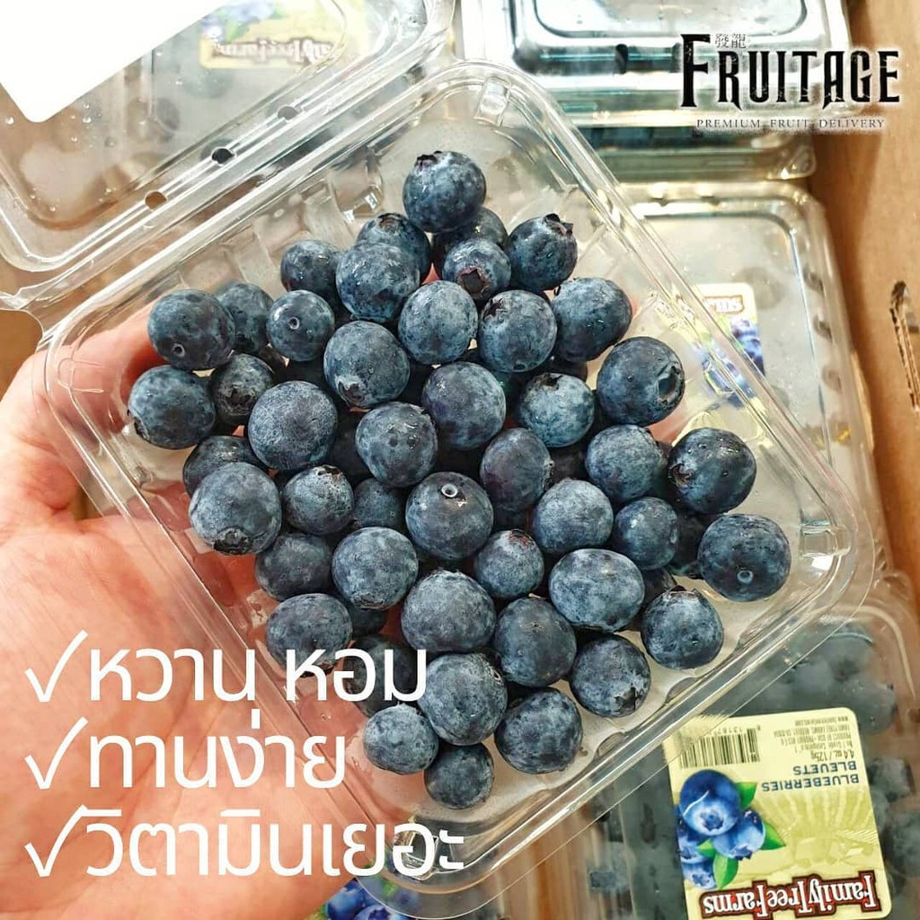รูปภาพของบลูเบอรี่นำเข้า Blueberry (USA/NZL/Peru/Chile) (1แพค) ~ลดพิเศษ~ Premium ที่สุดของบลูเบอร์รี่ บลูเบอรี่สด บลูเบอร์รี่สดลองเช็คราคา