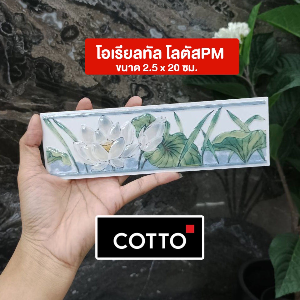 กรุยเชิง-cotto-กระเบื้องบุผนัง-มีหลายแบบให้เลือก-ราคา-แผ่น