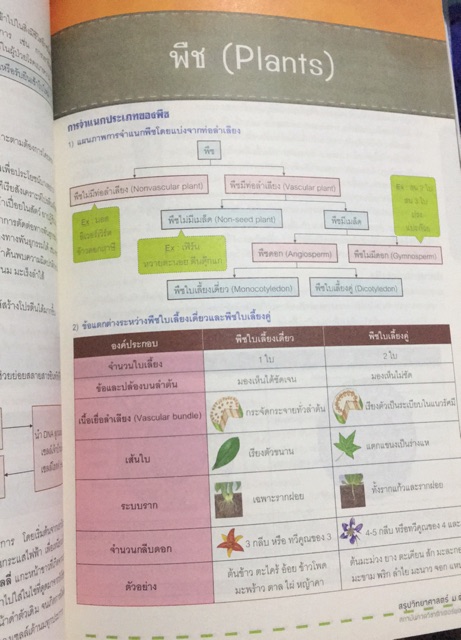 science-สรุปวิทยาศาสตร์ม-ต้น